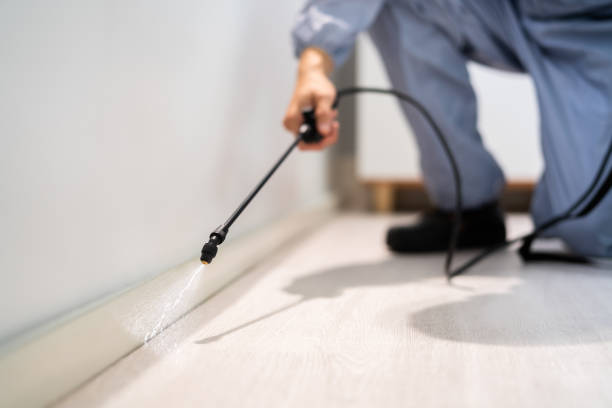 Rodent Entry Point Assessment in Pleasant Grove