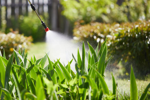 Tamper-Resistant Bait Stations for Rodents in Pleasant Grove