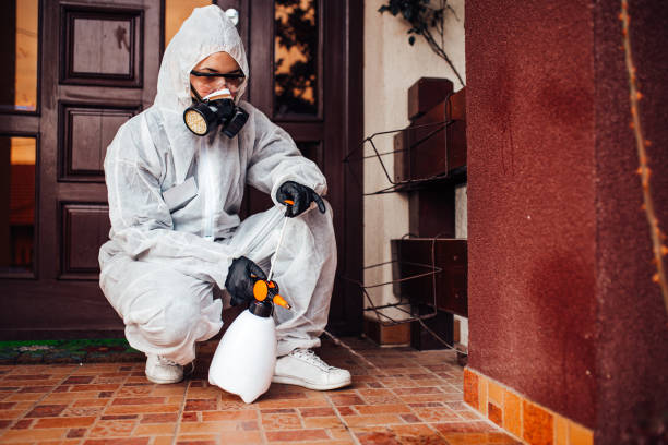 Attic and Crawl Space Rodent Treatment in Pleasant Grove